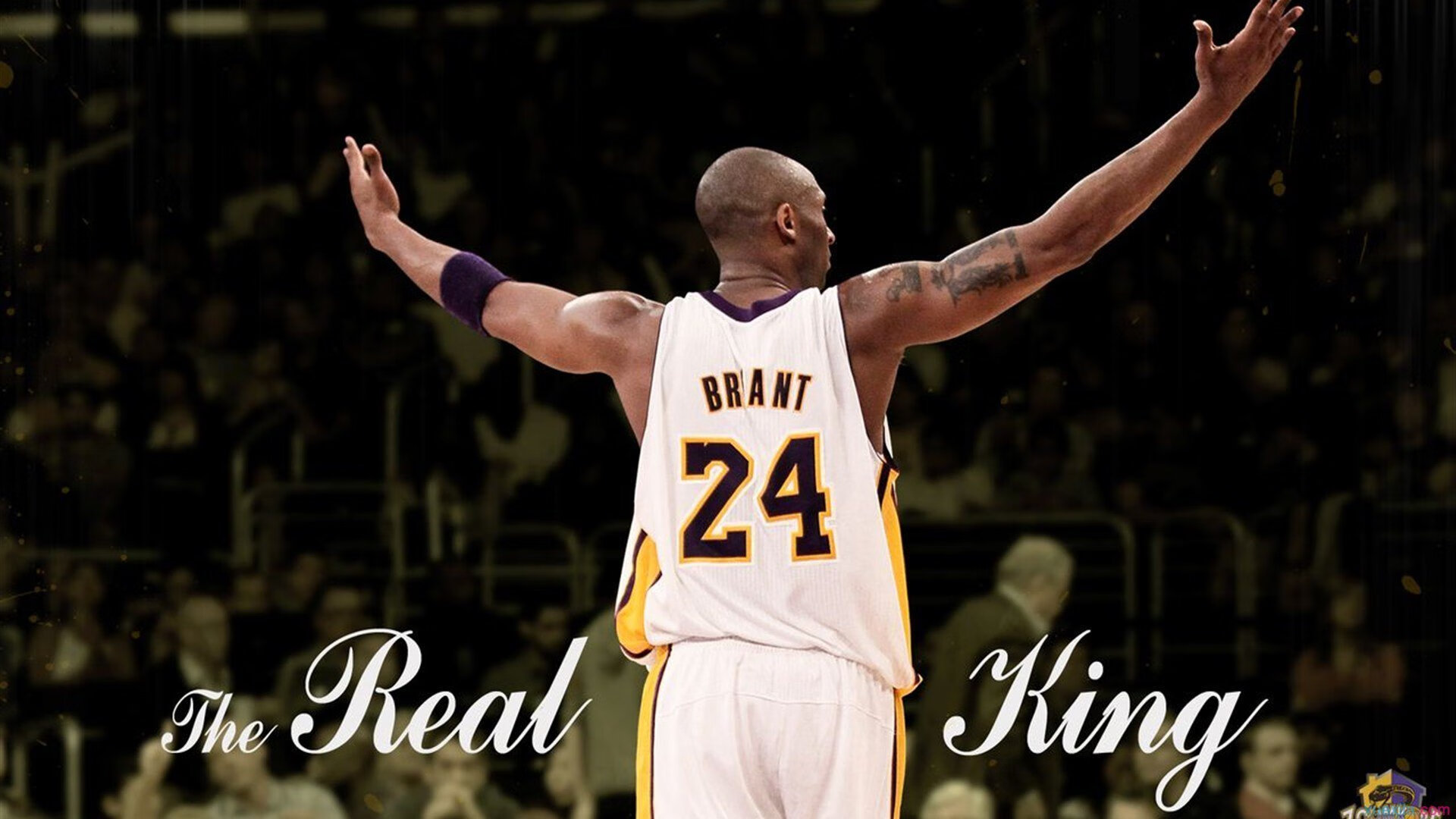 红土之王硬地亮剑，纳达尔美网轻取蒙特卡洛大师赛的战术启示